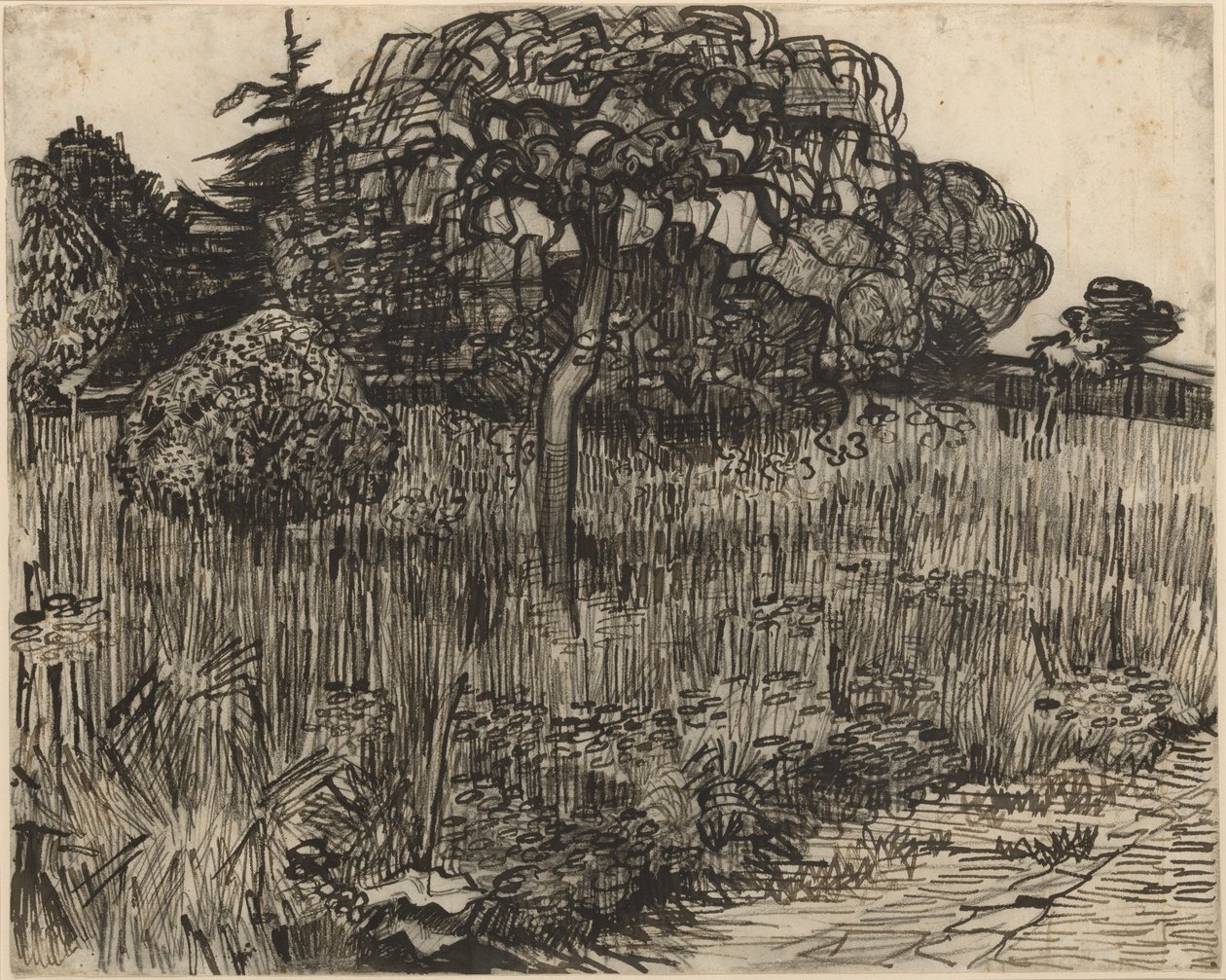 Gråtande träd av Vincent van Gogh
