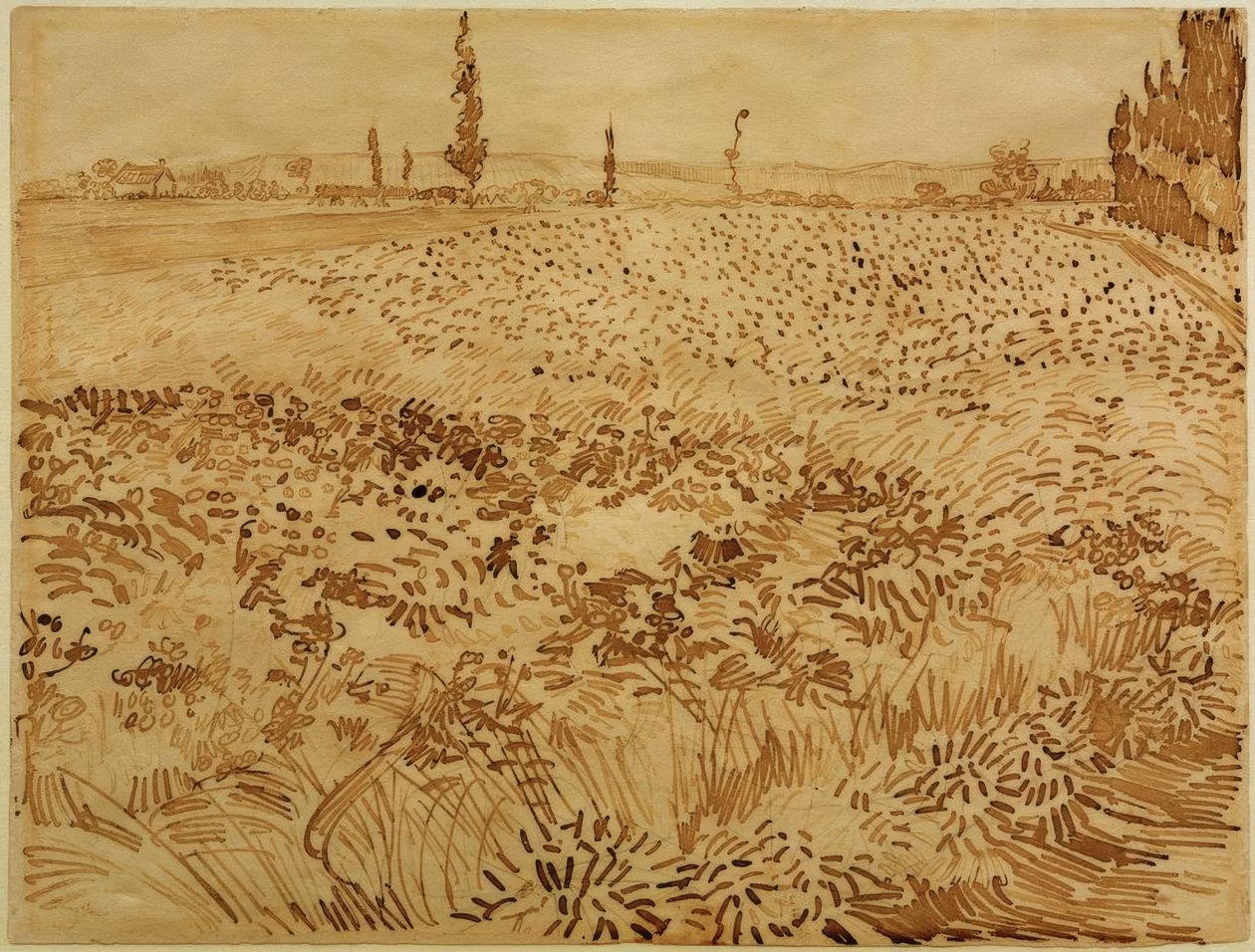 Vete fält av Vincent van Gogh