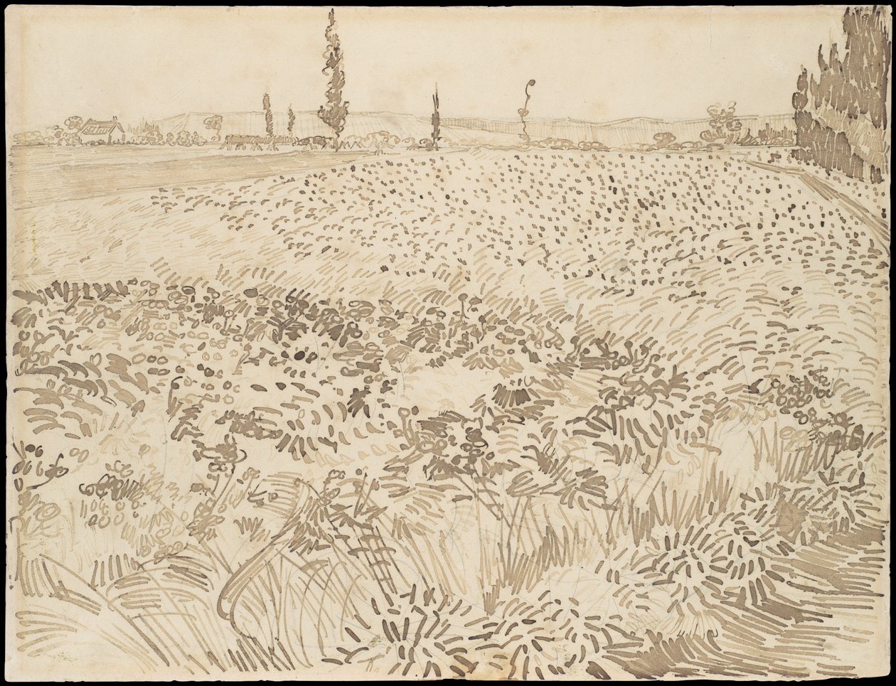 Vetefält av Vincent van Gogh