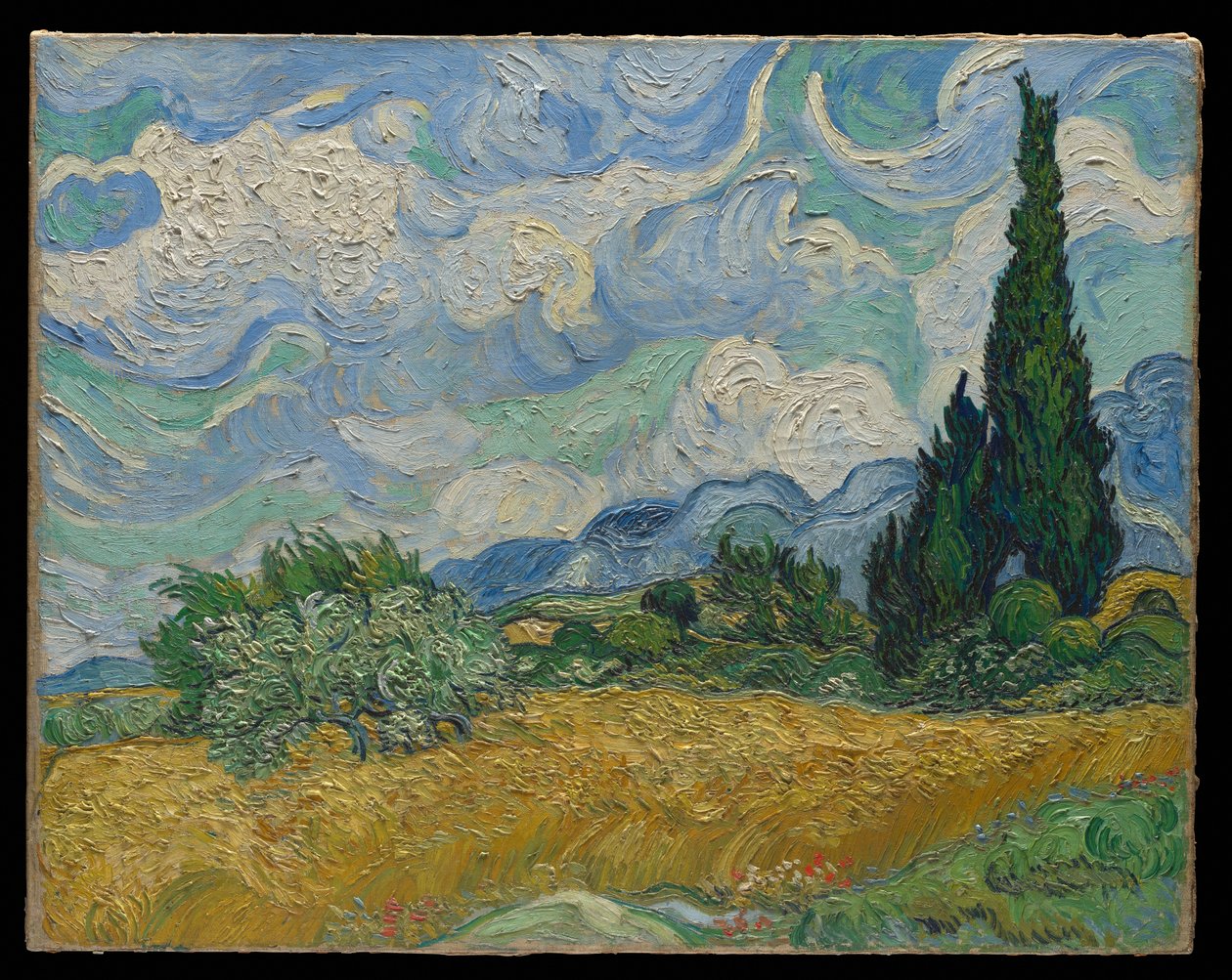 Vetefält med cypresser av Vincent van Gogh