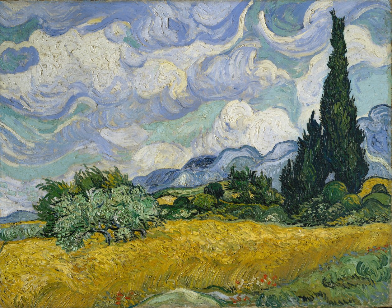 Vetefält med cypresser av Vincent van Gogh
