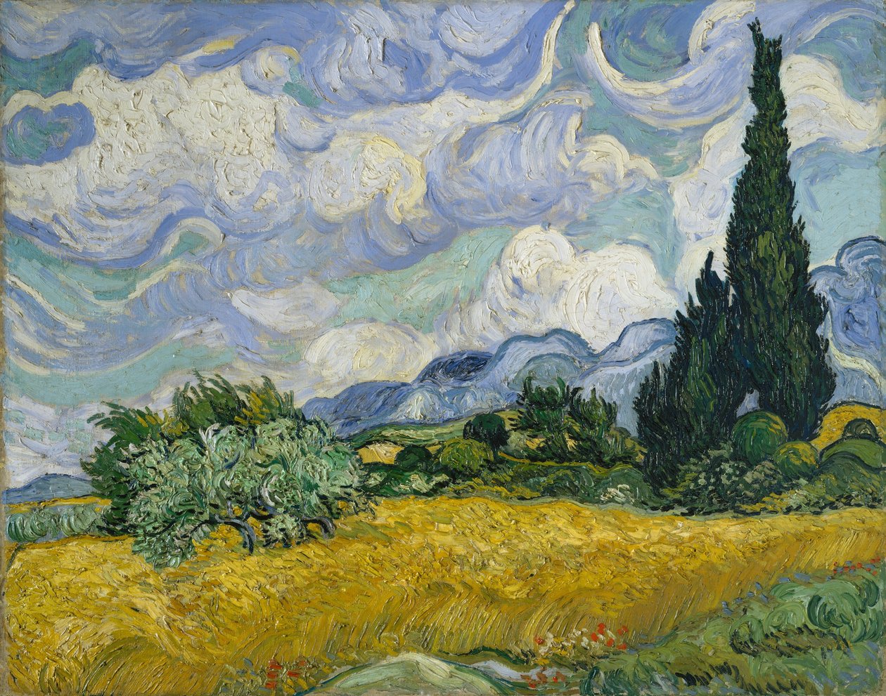 Vetefält med cypresser, 1889. av Vincent van Gogh