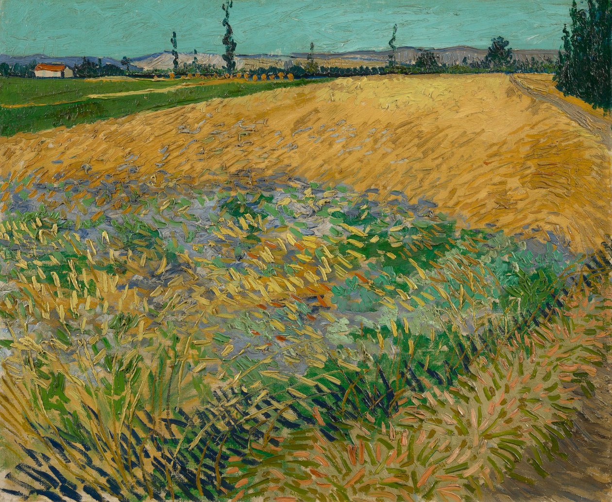 Vetefältet av Vincent van Gogh