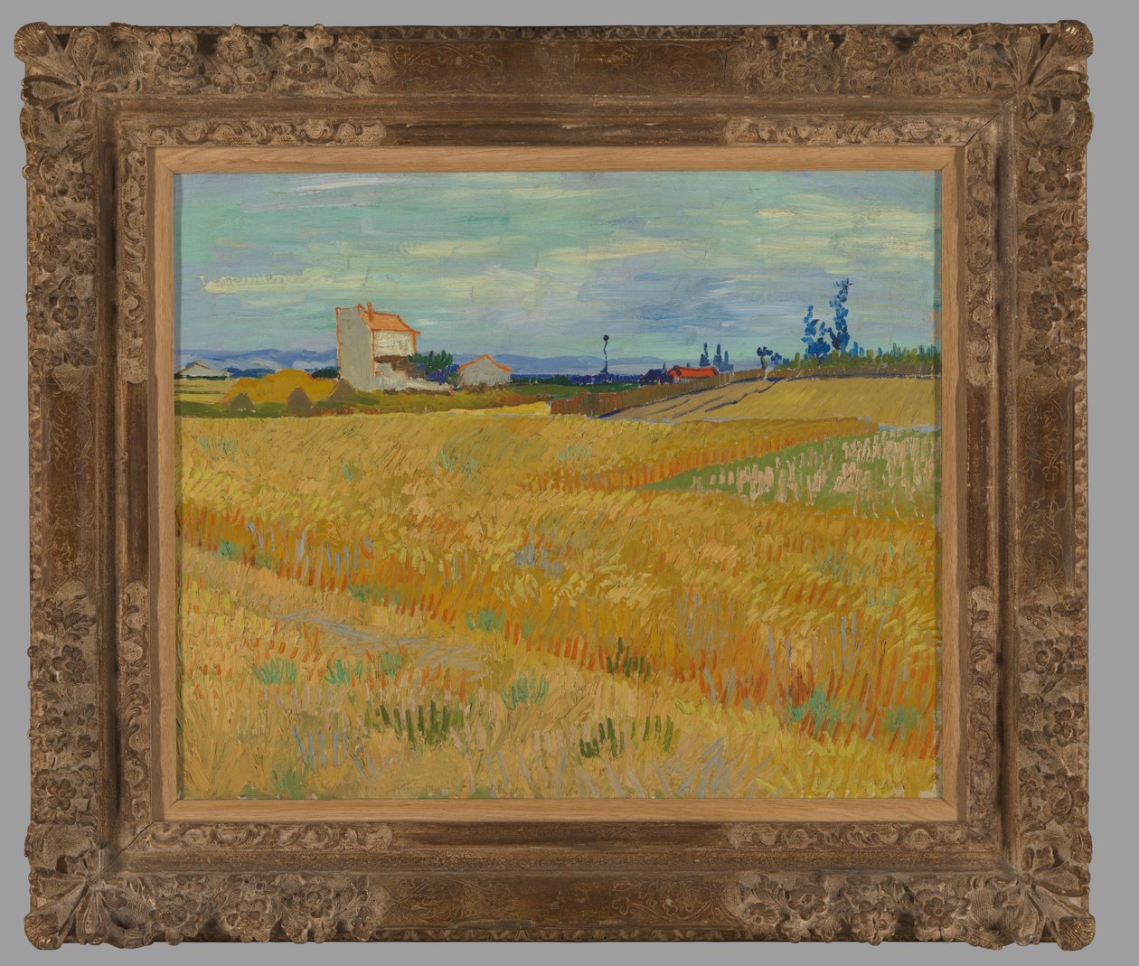 Vetefält av Vincent van Gogh