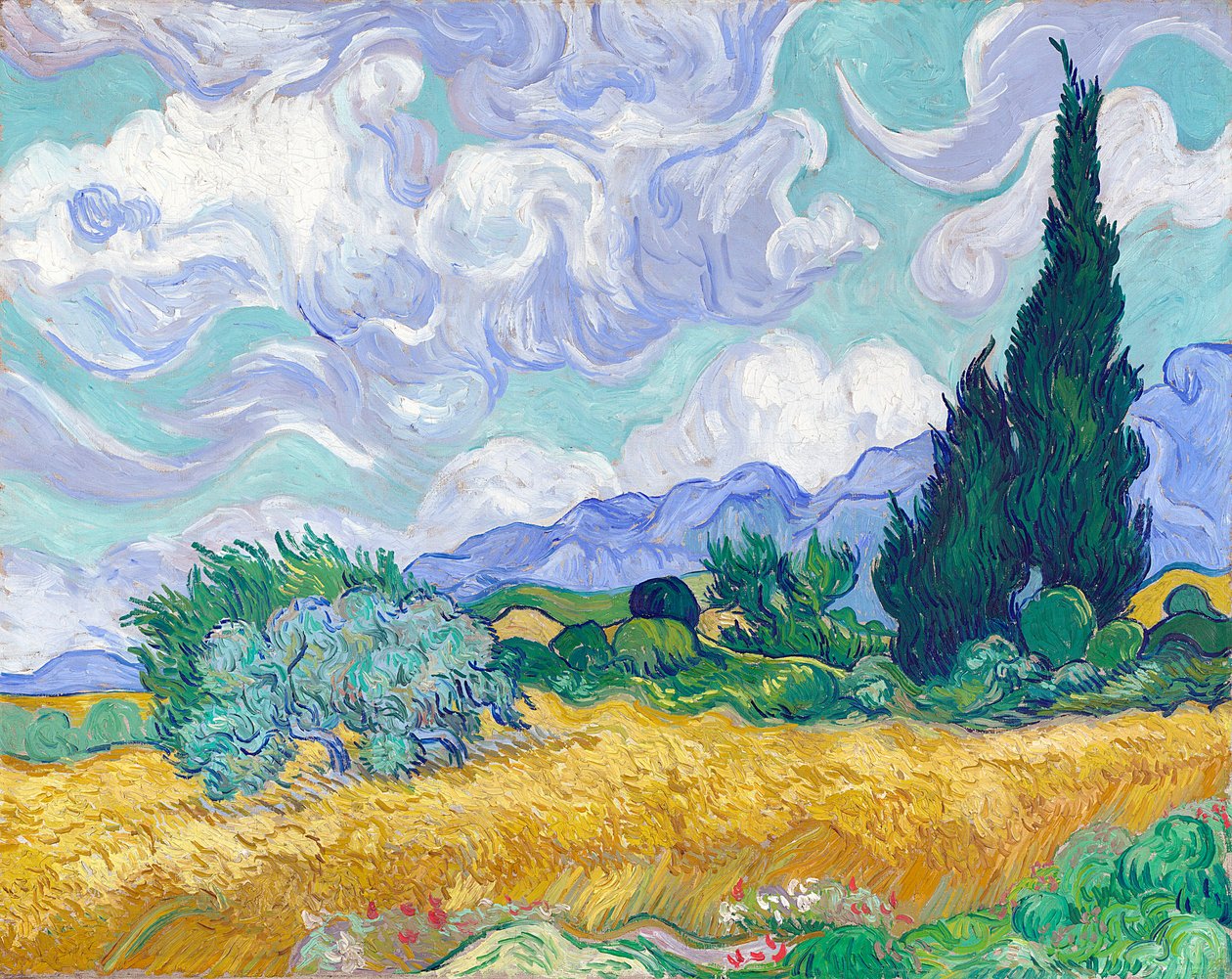 Vetefält med cypresser av Vincent van Gogh
