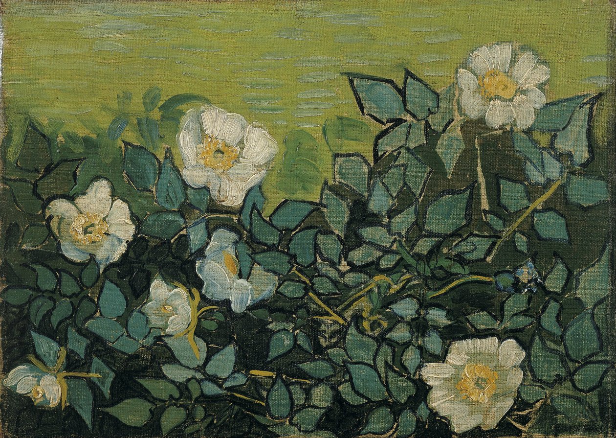 Vildrosor av Vincent van Gogh