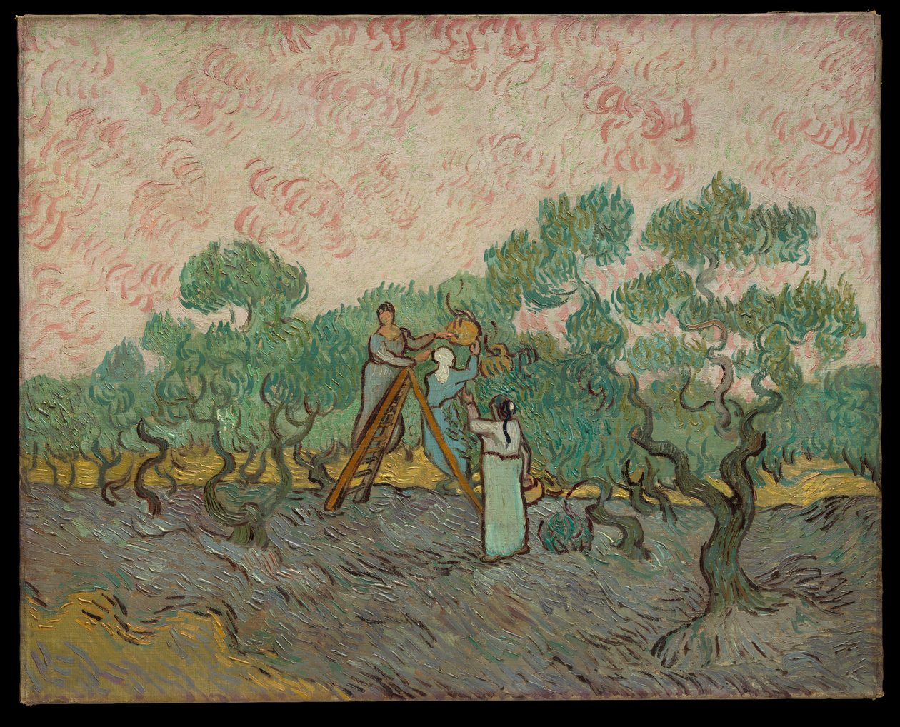 Kvinnor som plockar oliver av Vincent van Gogh