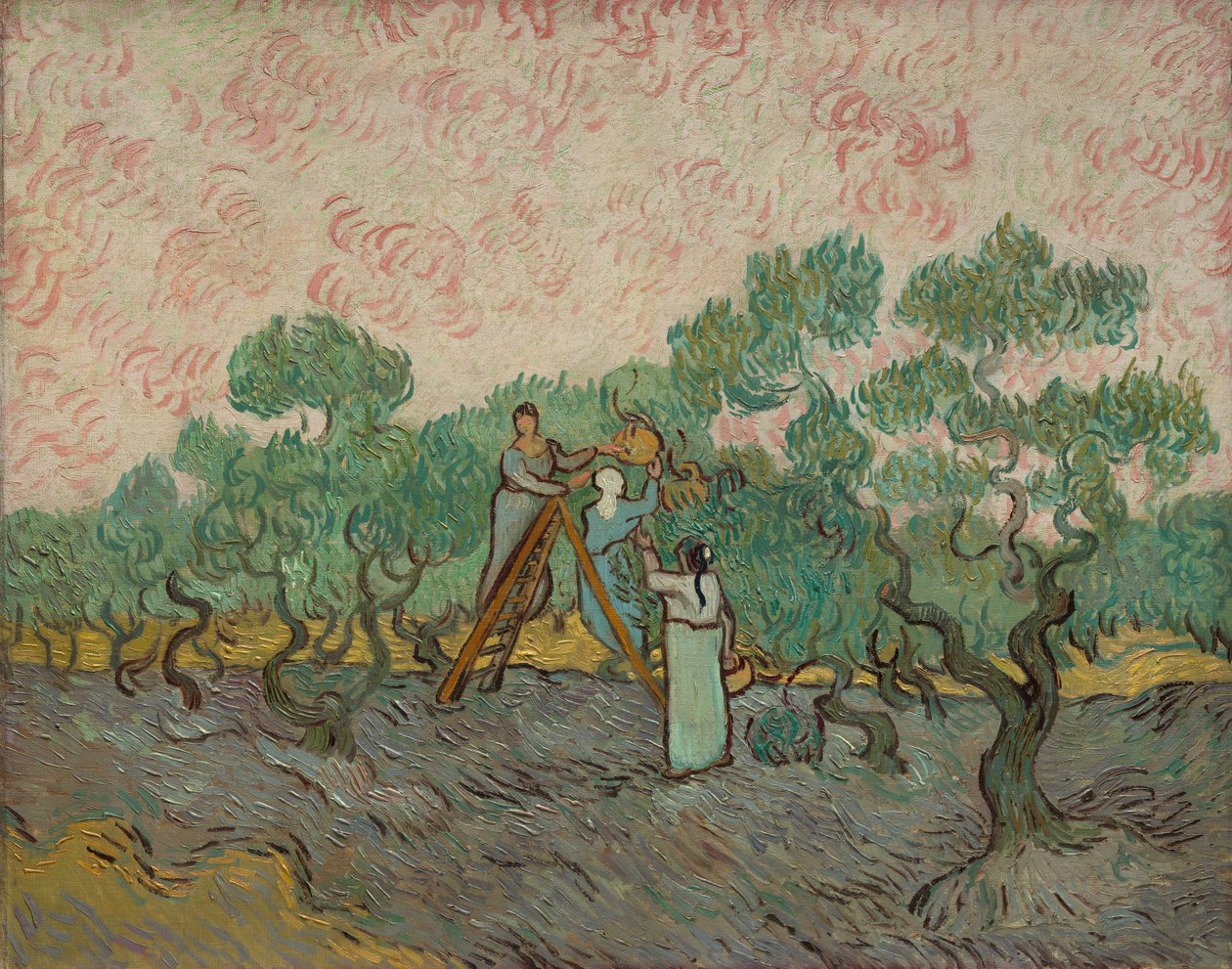 Kvinnor som plockar oliver, 1889. av Vincent van Gogh