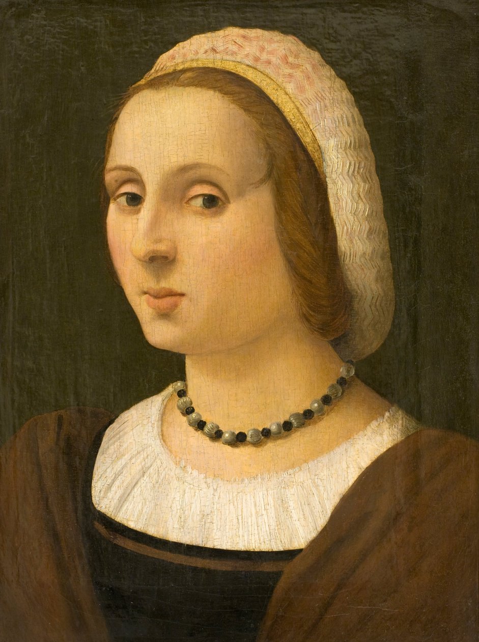 Portrait of a Lady av Vincenzo Tamagni