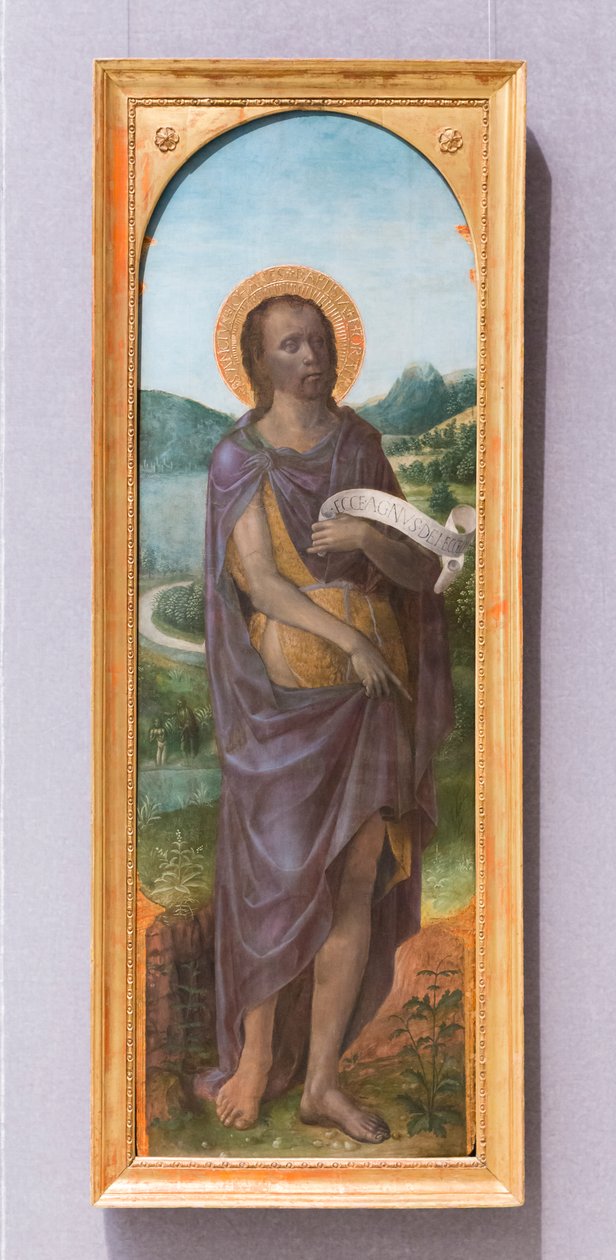 Sankt Johannes Döparen av Vincenzo Foppa
