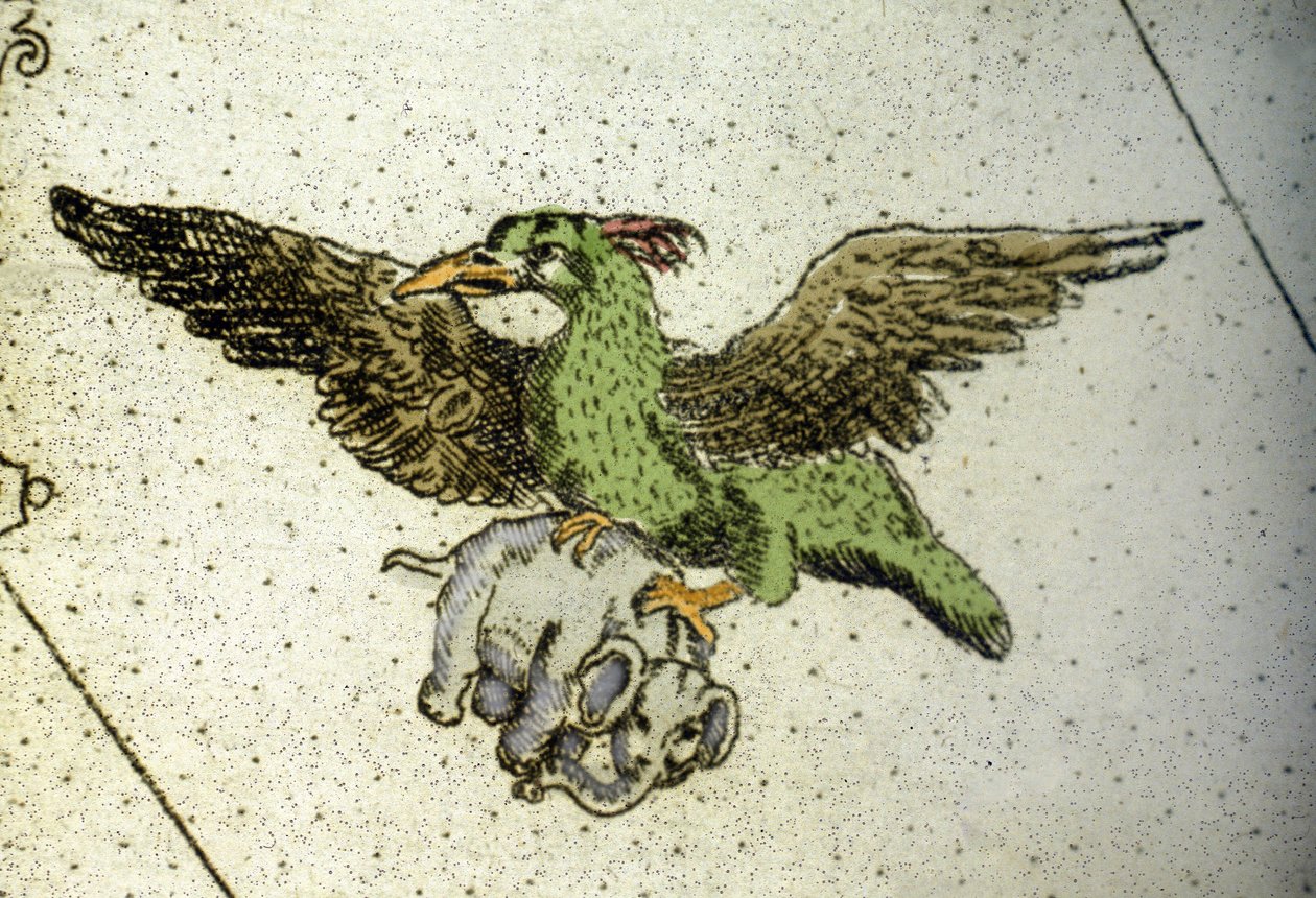 Den jättelika fågeln Rok bär en elefant mellan sina växthus för att ge den till sina ungar, detalj på en världskarta av Vincenzo coronelli (1650-1718). 1600-talet av Vincenzo Maria Coronelli