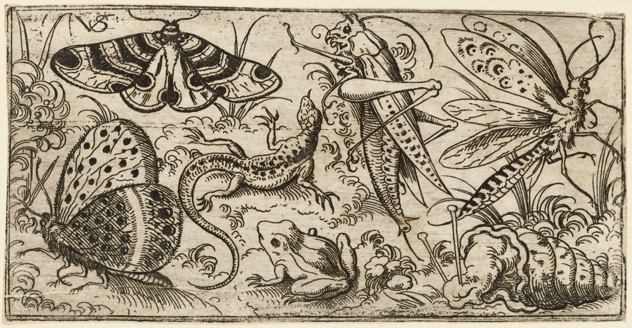 Grupp av insekter och djur på en slät mark med gräs..., 1530 - 1562. av Virgil Solis