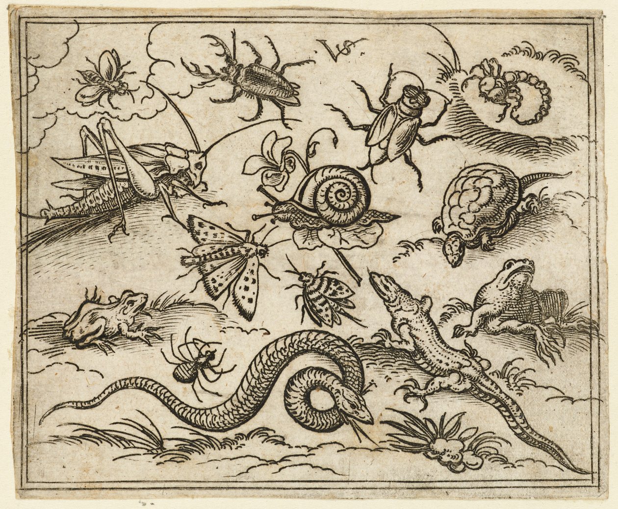 Grupp av insekter och reptiler på slätt mark med stenar, inklusive en leguan, en ödla..., 1557. av Virgil Solis