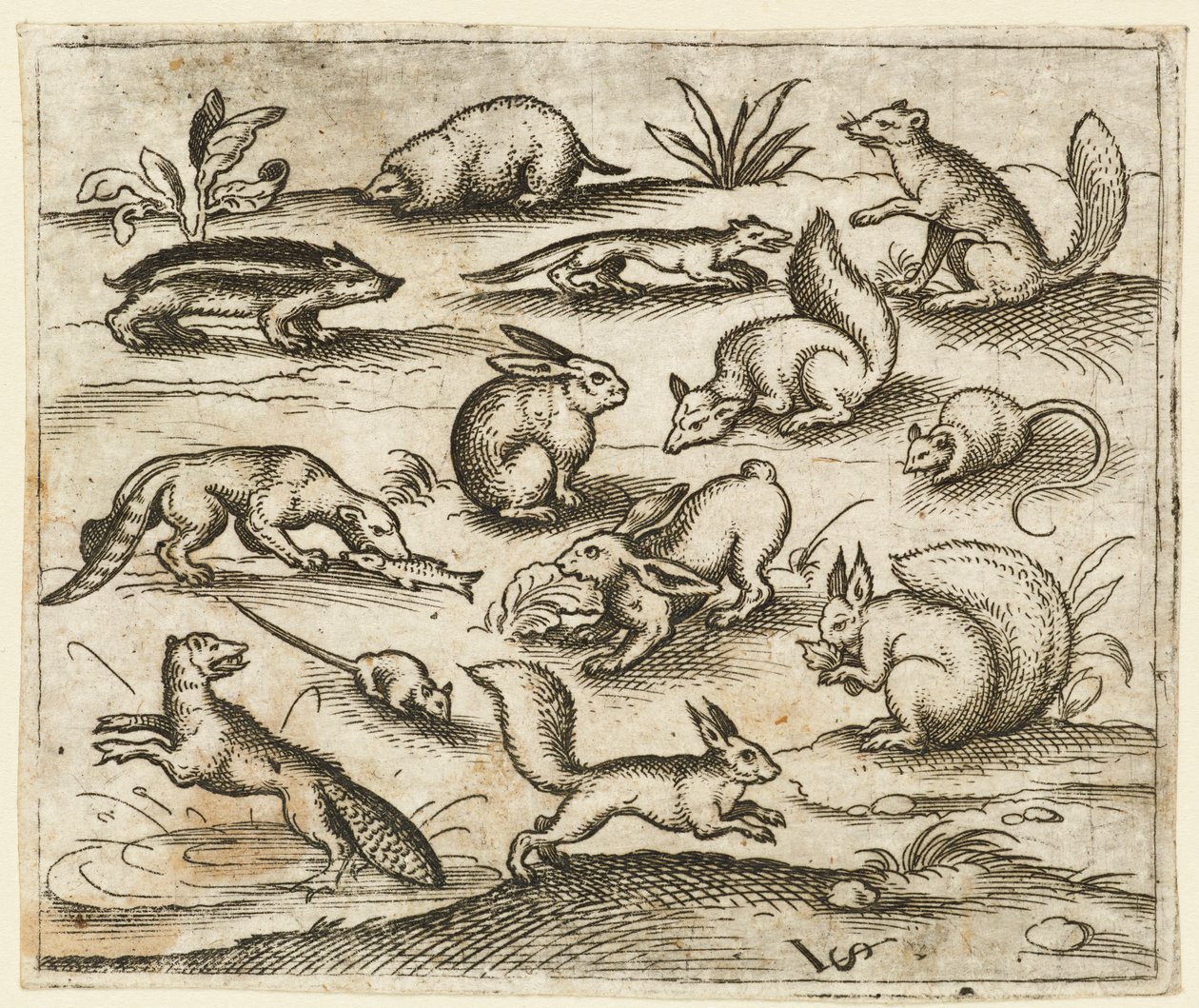Grupp av små skogsvarelser som äter och springer runt en damm, inklusive en mus..., 1557. av Virgil Solis
