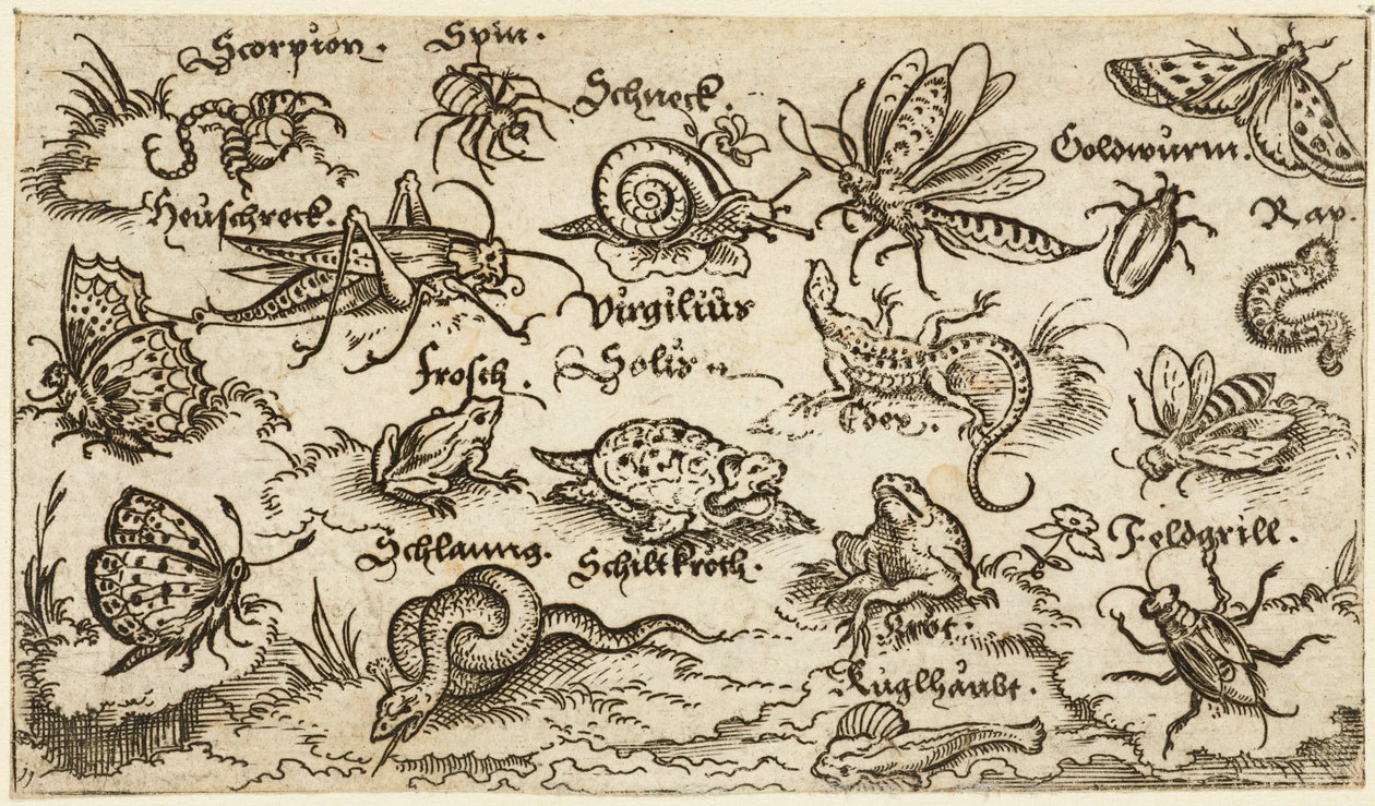 Insekter, reptiler, sniglar och fiskar på minimal mark med vatten i förgrunden..., 1572. av Virgil Solis