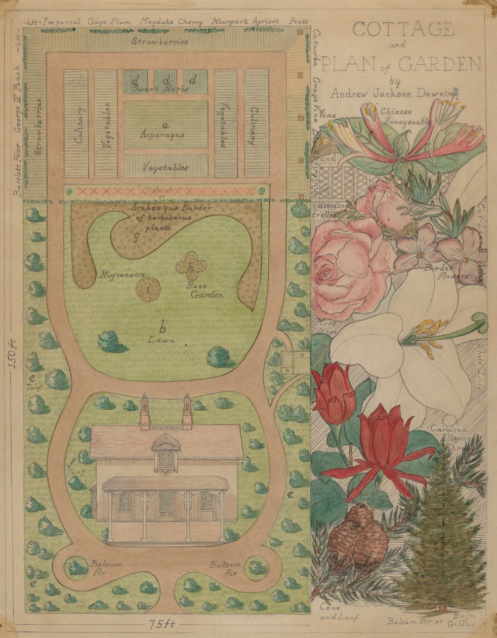 Markplan för stuga, ca. 1936. av Virginia Richards