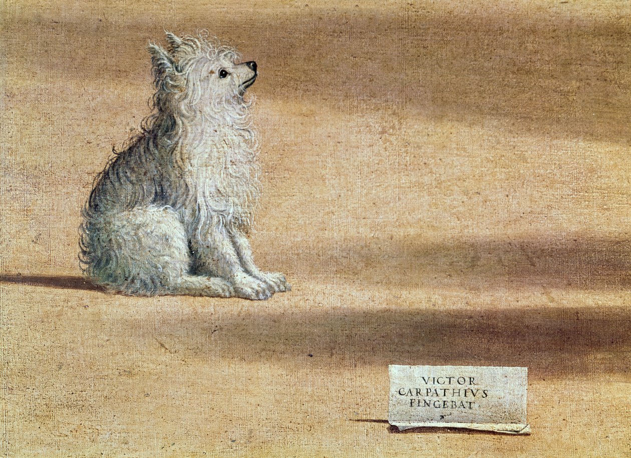 Vision av St. Augustine, detalj av hunden, 1502-08 av Vittore Carpaccio