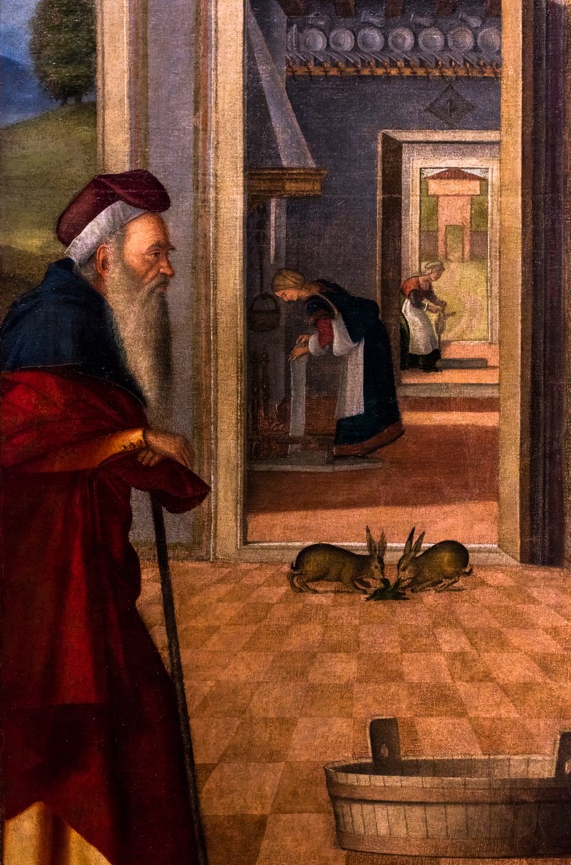  av Vittore Carpaccio