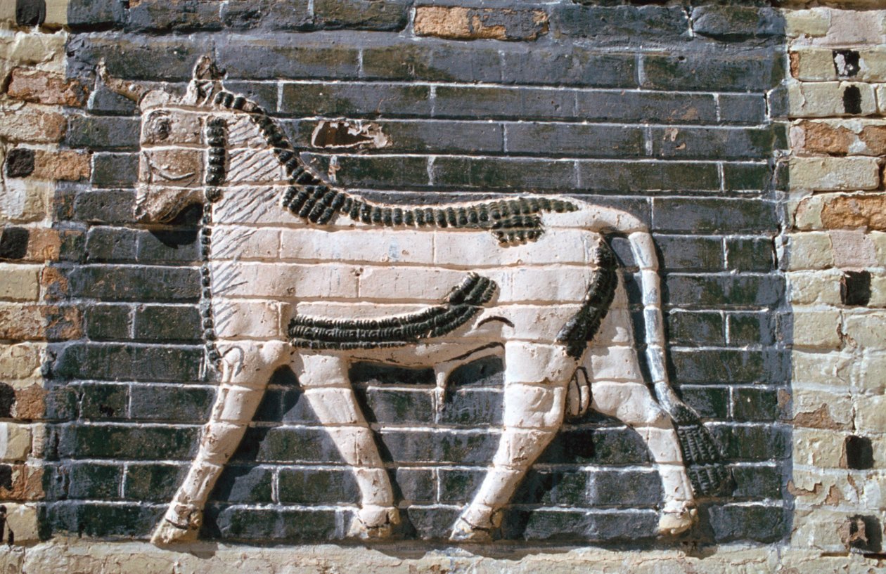 Tjur, glaserade tegelstenar, Ishtar Gate, Babylon, Irak. av Vivienne Sharp