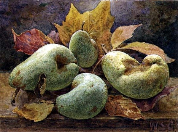 Udda och jämnt (päron) av W.S. Goodwin