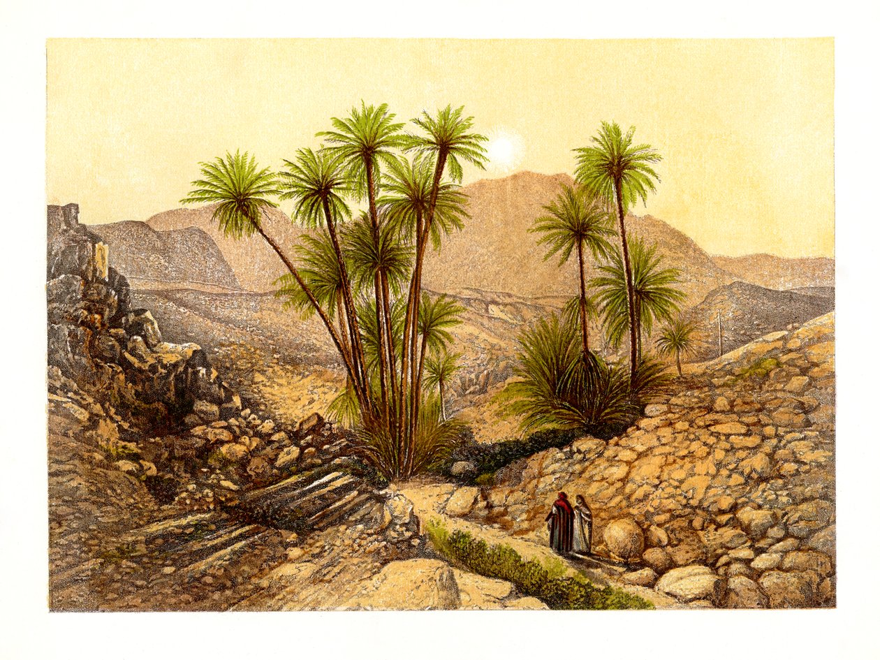 Sinais öken, Egypten, c1870. av W. Dickens