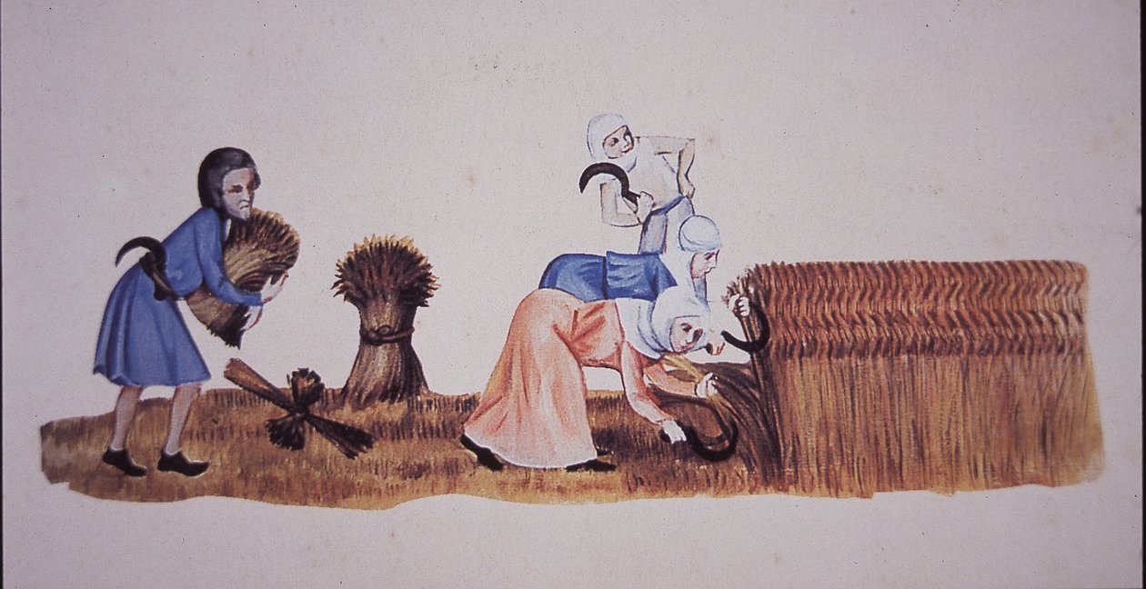 Medeltida kvinnor som skördar majs, efter en scen från Luttrell Psalter (färg litho) av John Ward Dunsmore