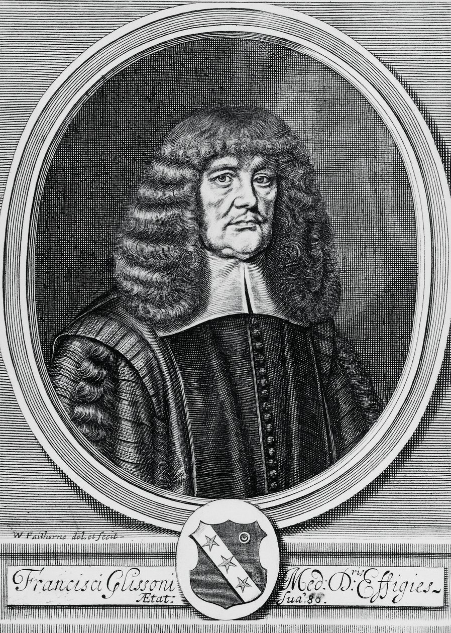 Porträtt av Francis Glisson (1597-1677), brittisk fysiker, anatomist och läkare, gravyr av John Ward Dunsmore