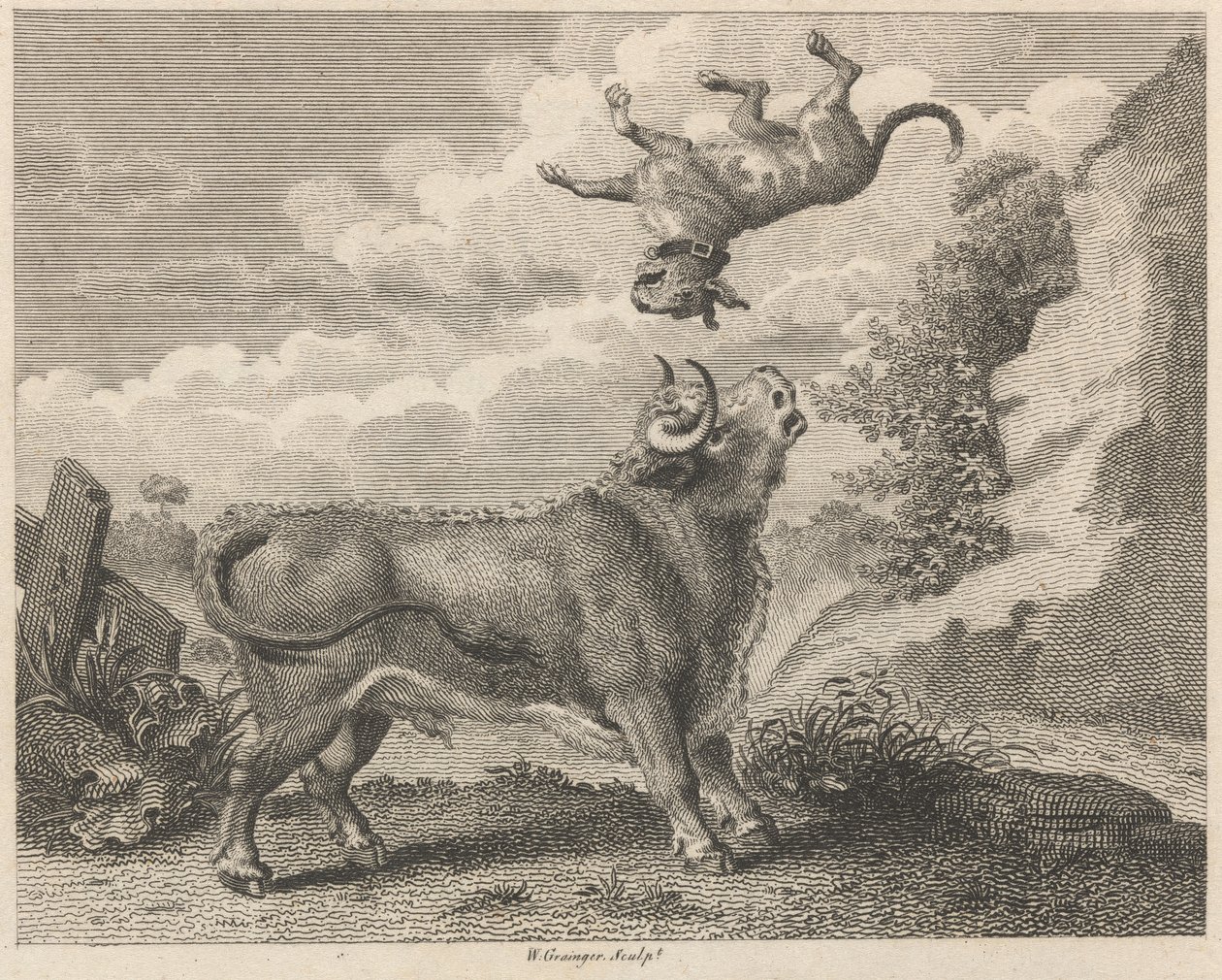Tjuren och mastiffen av W. Grainger