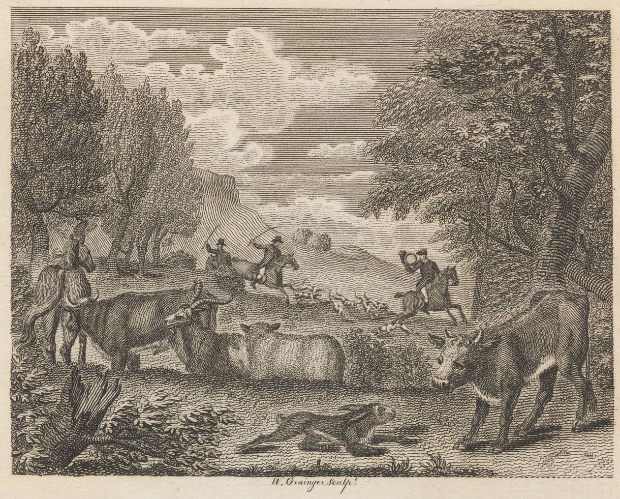 Haren och många vänner av W. Grainger