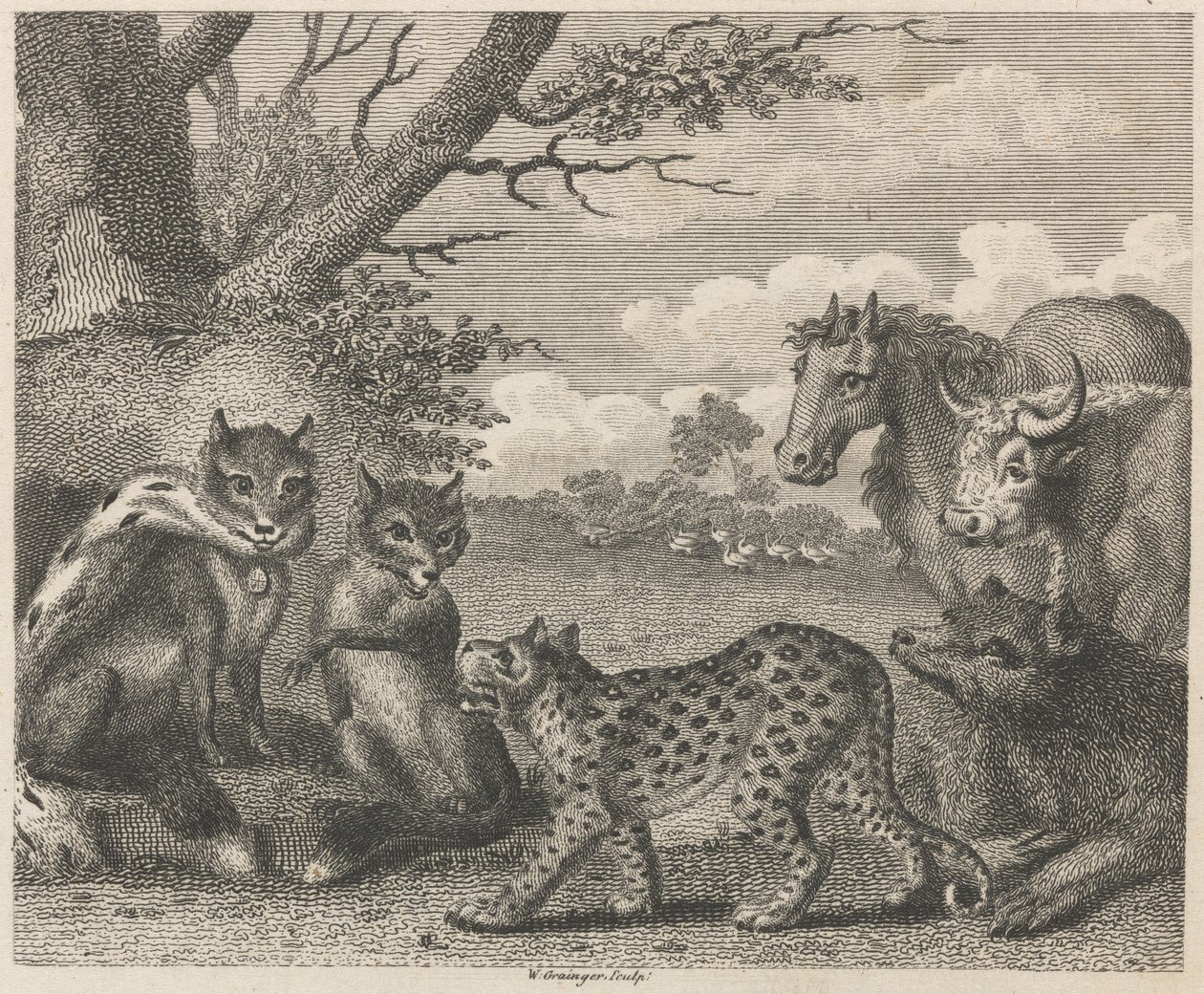 Lejonet, räven och gässen av W. Grainger