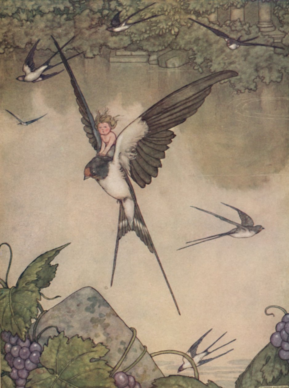 Ja, jag ska gå med dig! Said Tommelise, c1930 av William Heath Robinson