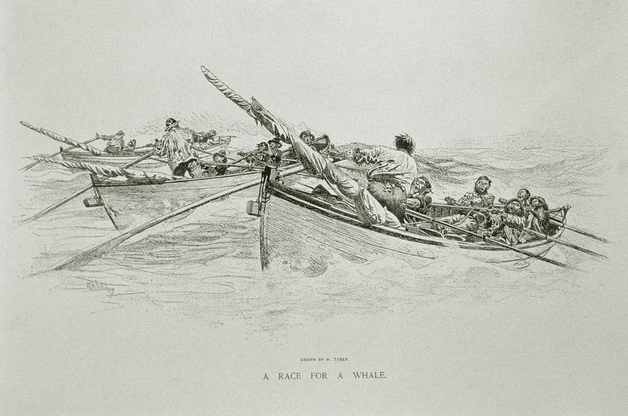 "A Race for a Whale", för "The Perils and Romance of Whaling" i Century Magazine, juni 1890 (litho) av W. Taber