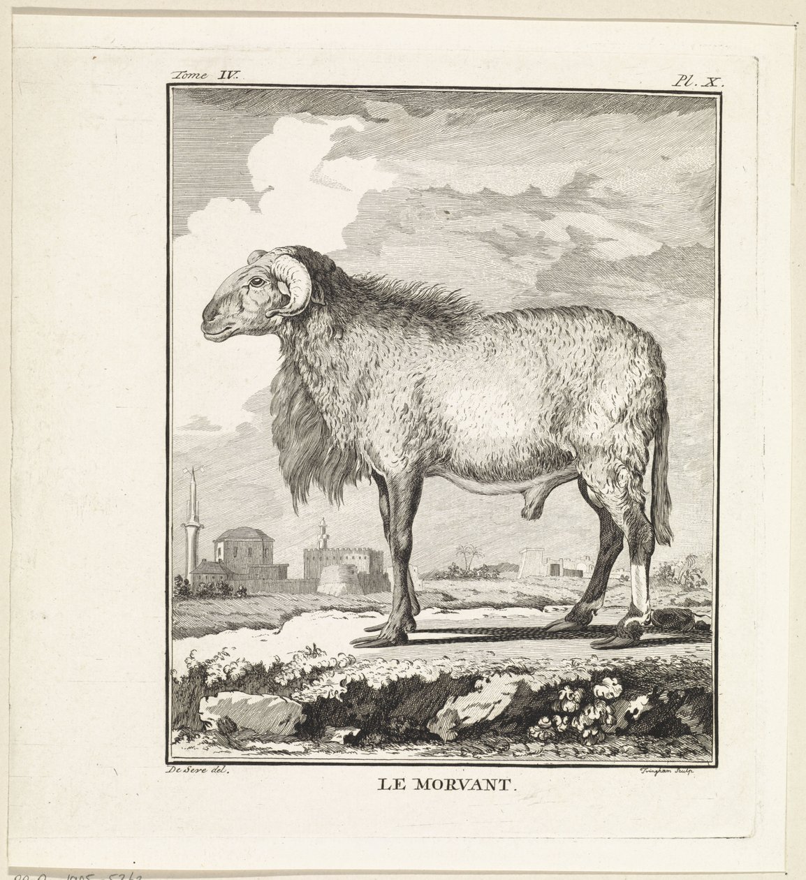 Bagge Le Morvant (titel på objekt) av W. Tringham