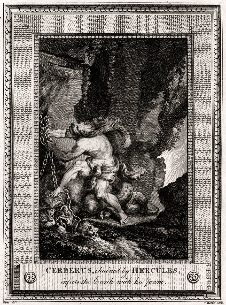 Cerberus, kedjad av Hercules, infekterar jorden med sitt skum, 1774 av W. Walker