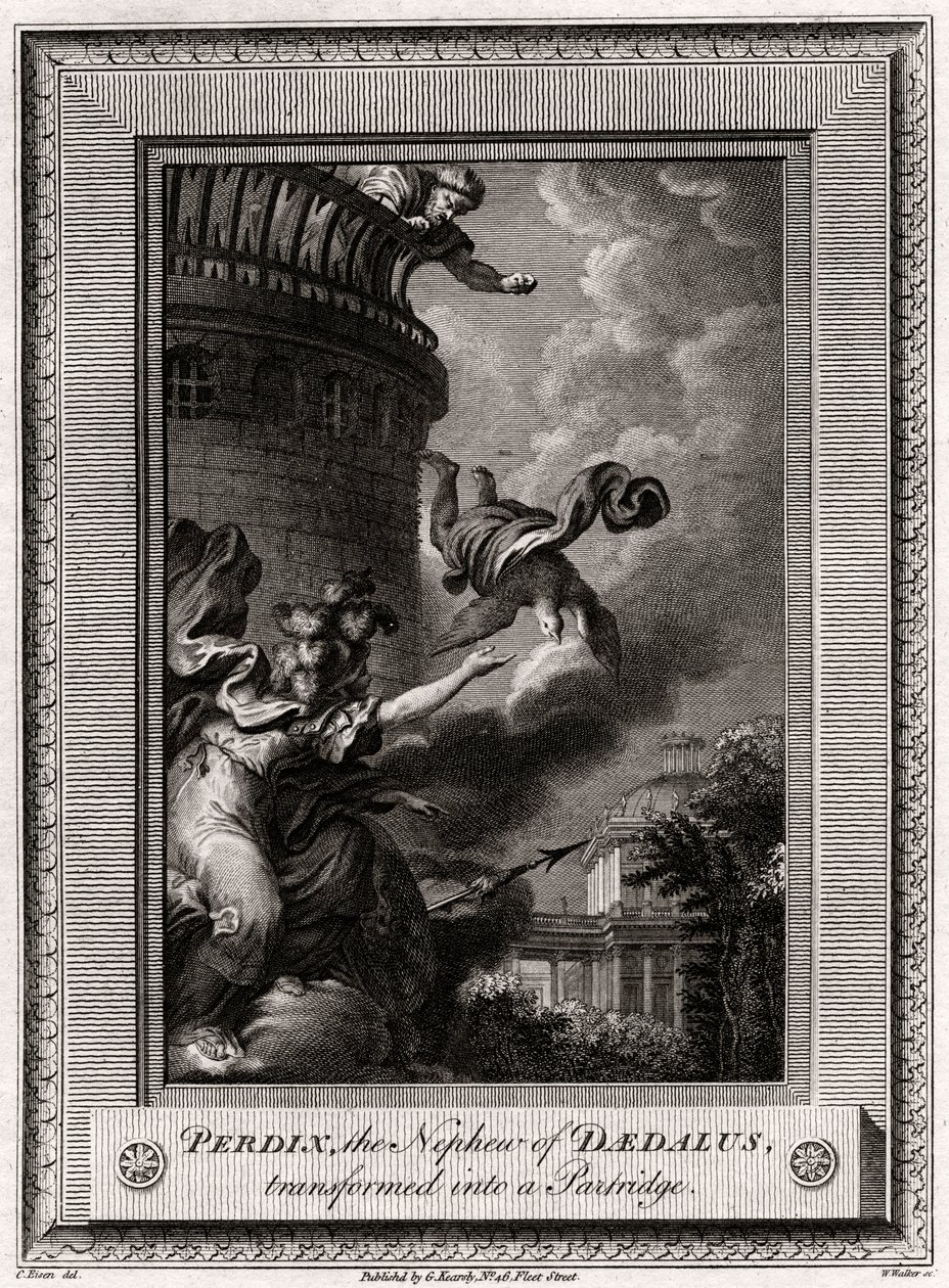 Perdix, brorsonen till Daedalus, förvandlades till en rapphöna, 1774 av W. Walker