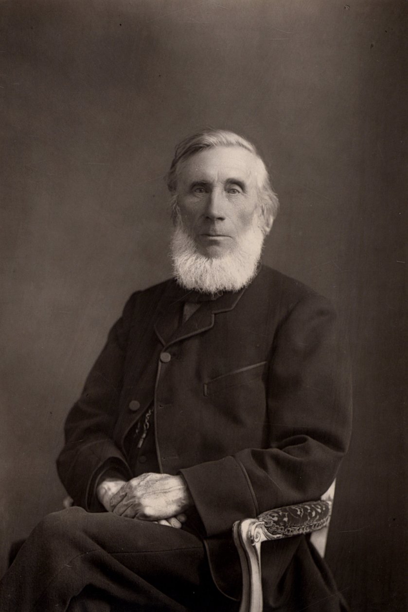""John Tyndall (1820-1893) irländskfödd brittisk fysiker. (woodburytype) av W. and D. (after) Downey