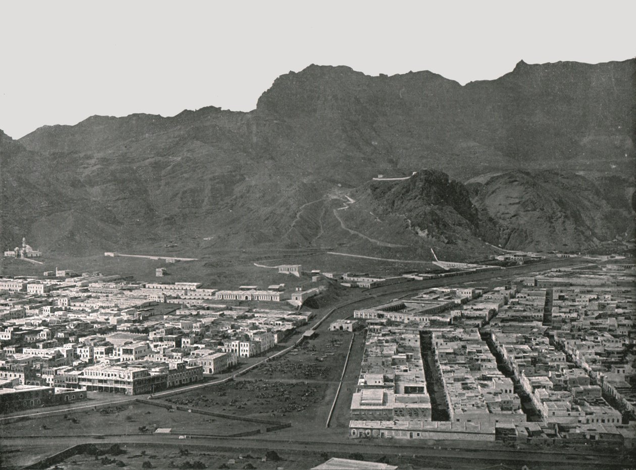 Allmän vy som visar Camel Market, Aden, 1895. av W and S Ltd