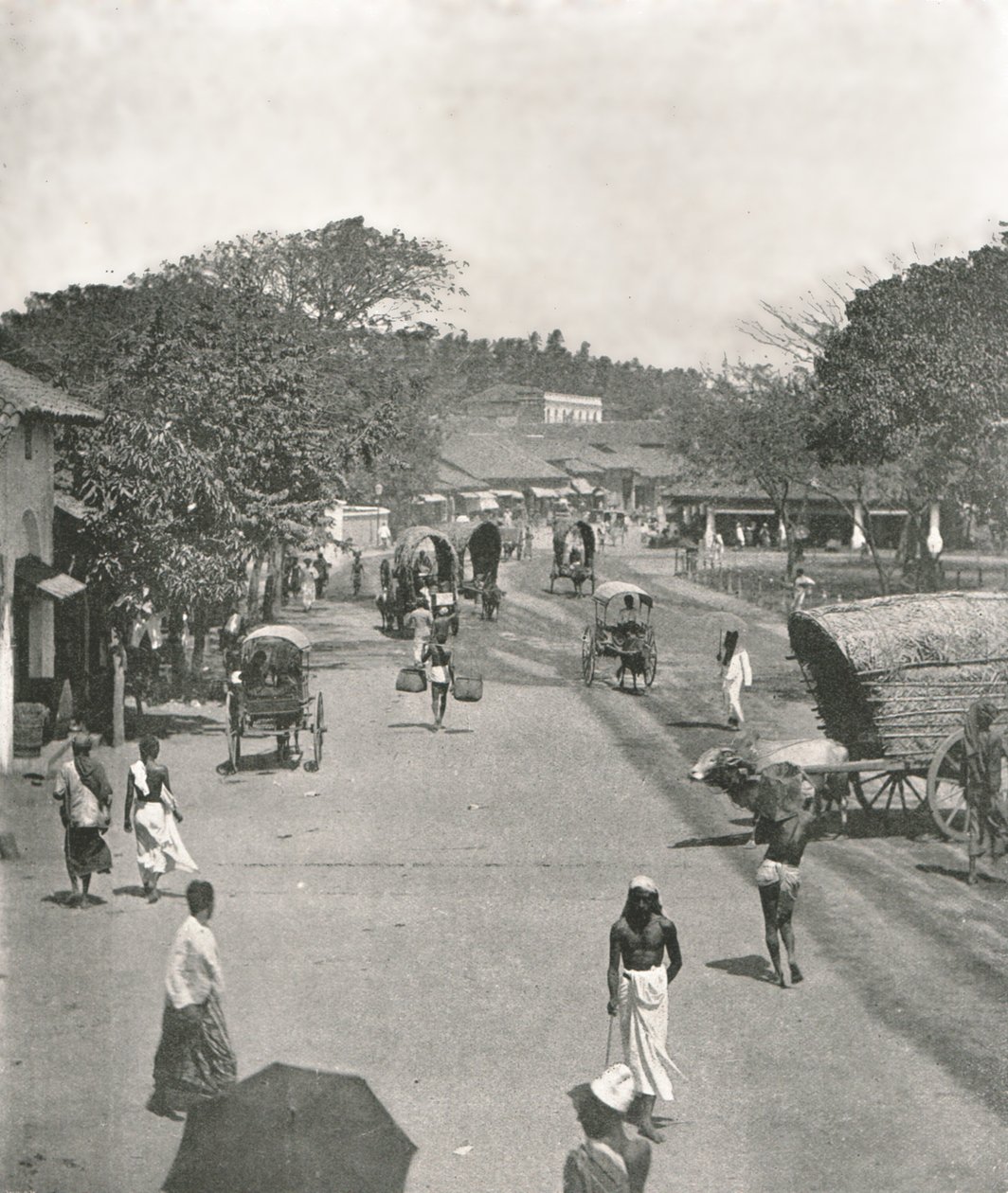 Gatubild nära rådhuset, Colombo, Ceylon, 1895. av W and S Ltd