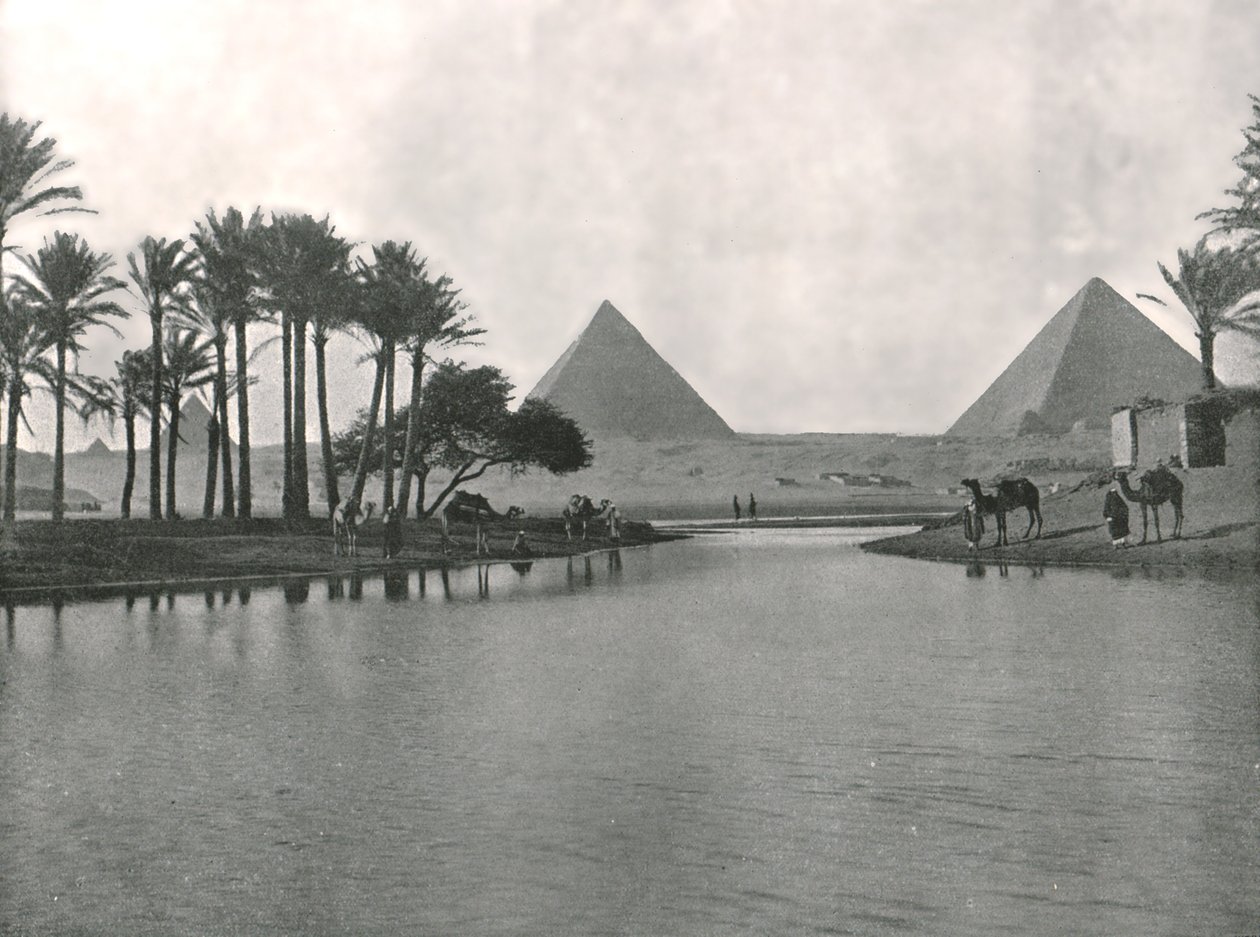 Pyramiderna och Nilen, Gizeh, Egypten, 1895. av W and S Ltd