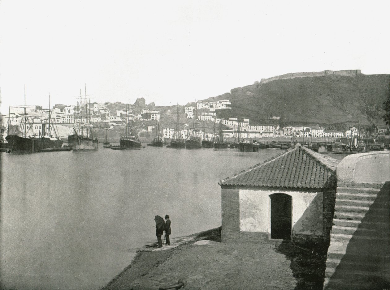 Staden och hamnen i Malaga, Spanien, 1895. av W and S Ltd
