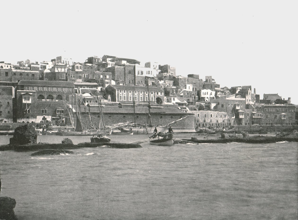 Utsikt från havet, Jaffa, Palestina, 1895. av W and S Ltd