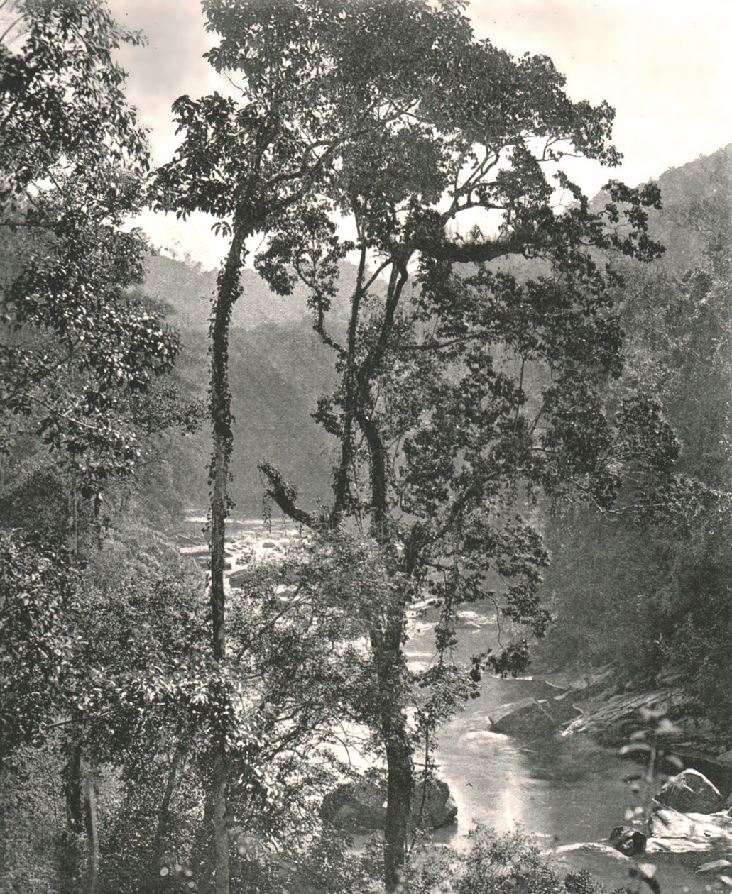 Utsikt över floden Kelani, Kurunegala, Ceylon, 1895. av W and S Ltd