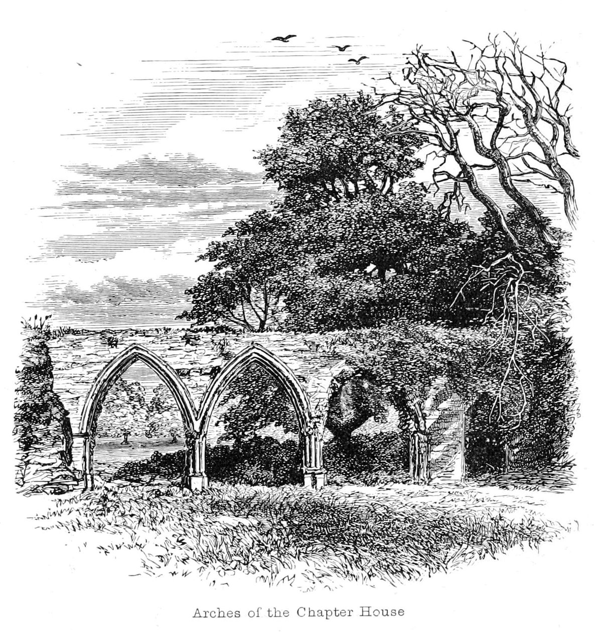Arches of the Chapter House av Walter Crane