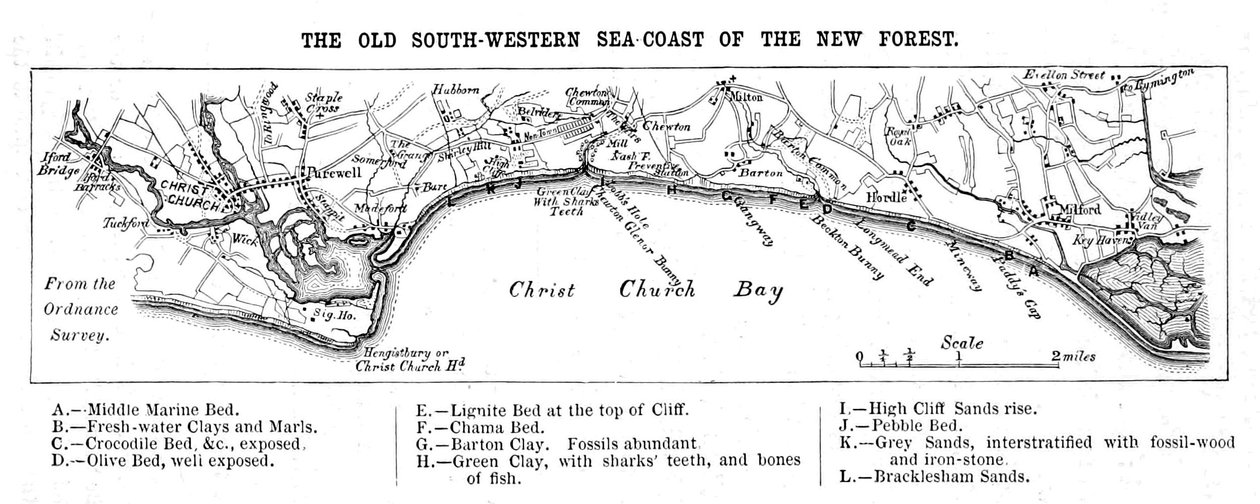 Map of the Old South-Western Sea-Coast av Walter Crane