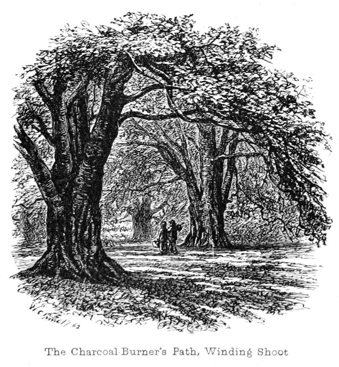 The Charcoal Burners Path av Walter Crane