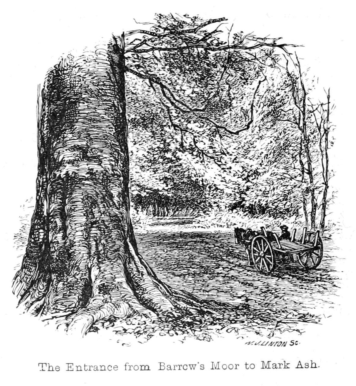 The Entrance from Barrows Moor to Mark Ash av Walter Crane
