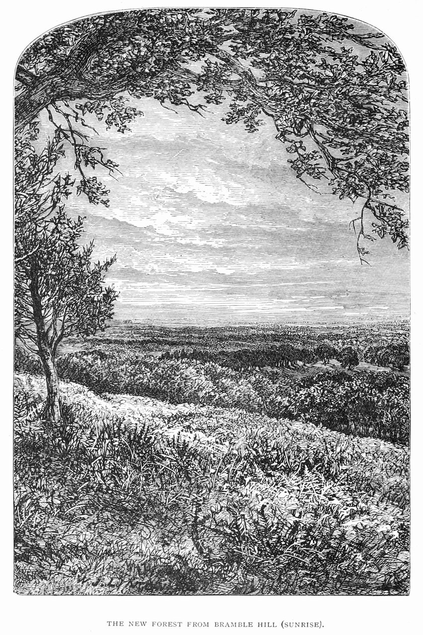 The New Forest its history and its scenery  av Walter Crane