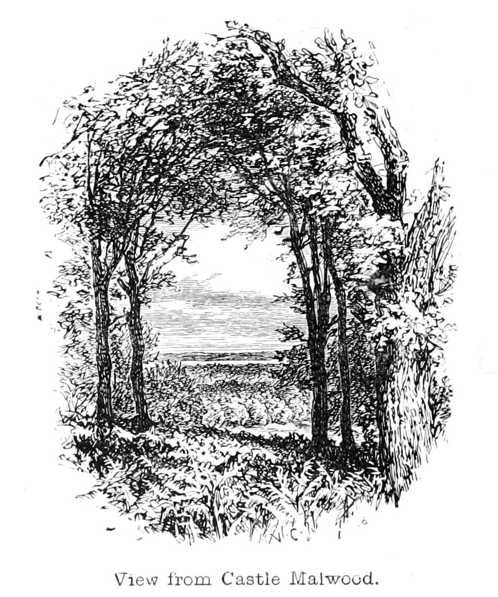 View from Castle Malwood av Walter Crane