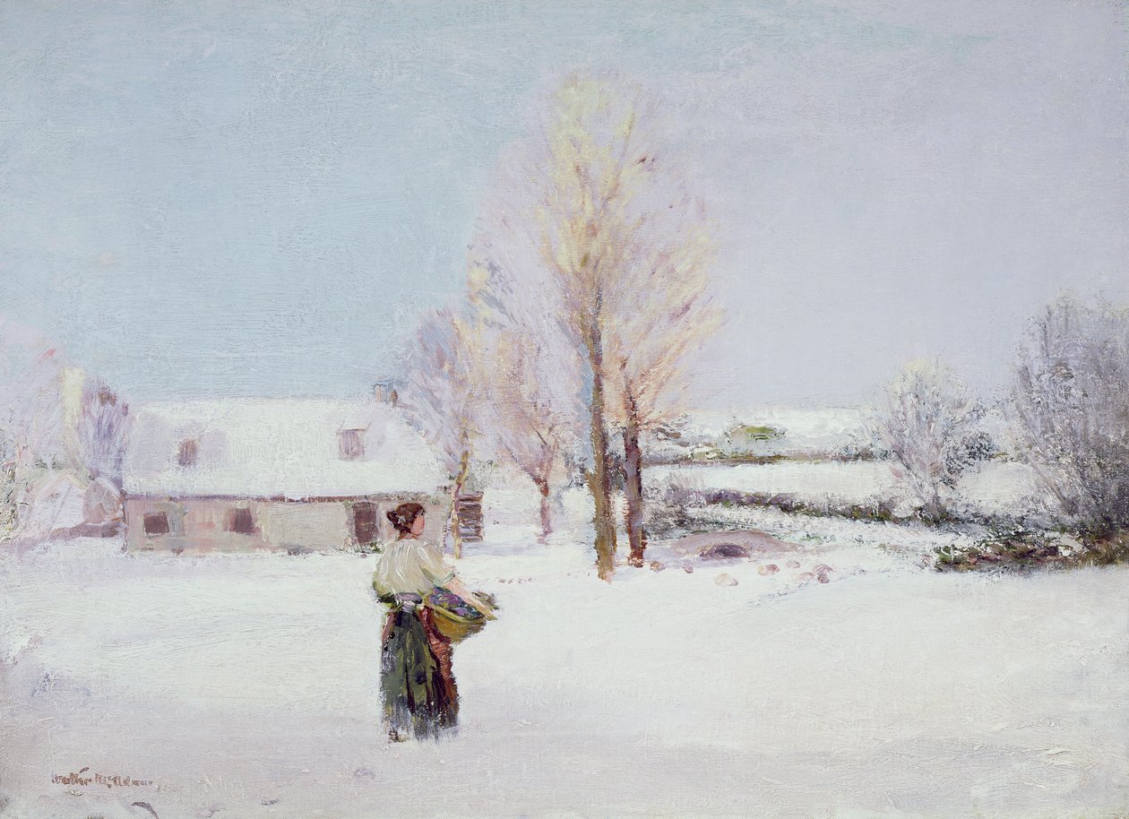 Gå genom snön av Walter McAdam
