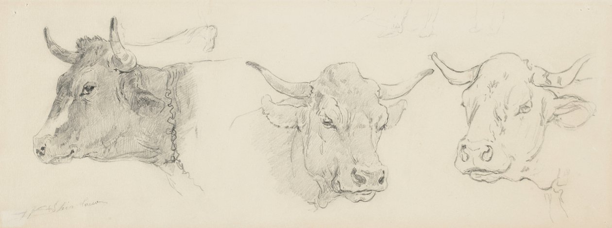 Studie av nötkreatur för fårklippning, 1872-77 (grafit på buffvävt papper) av Walter Shirlaw